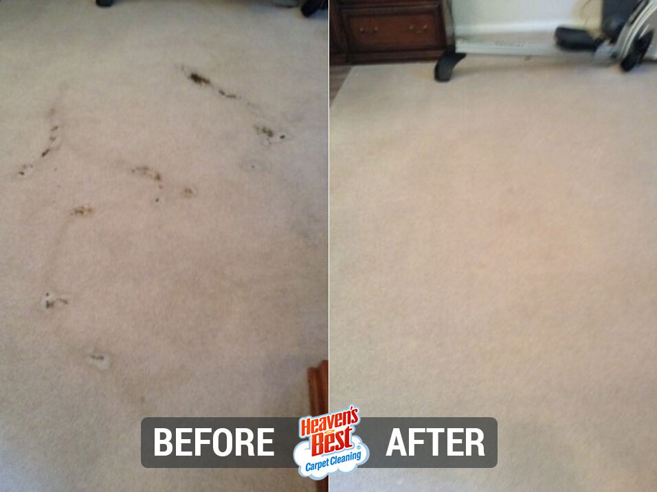Heaven's Best Carpet Cleaning of North Idaho